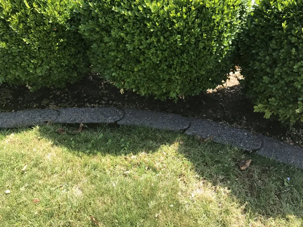 Expert landscaping services for outdoor upgrades in Phoenix, AZ by The Mud And Above Landscaping