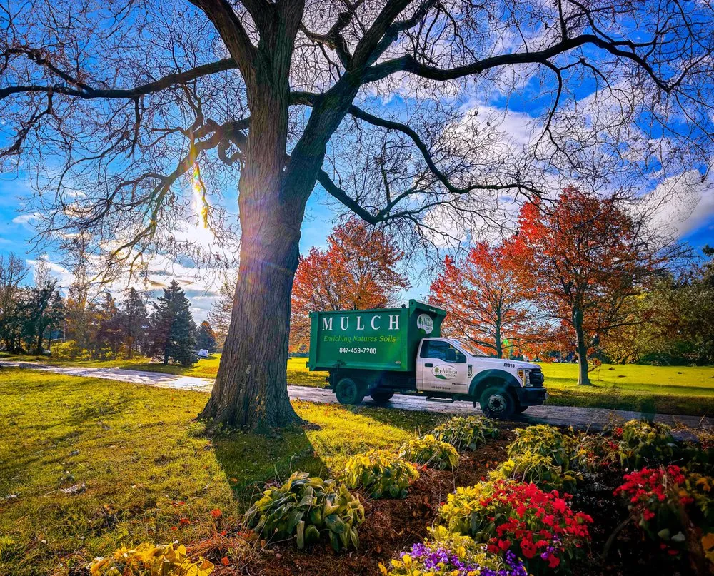 Reliable yard cleanup service for homes in Deerfield, IL by The Mulch Center