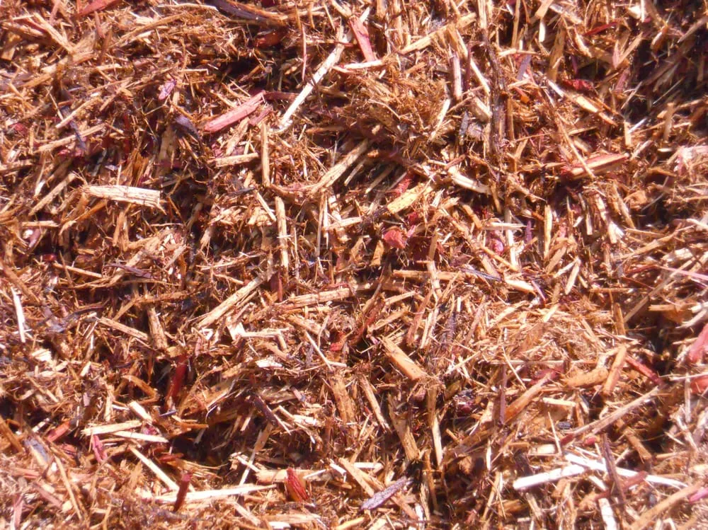 Professional residential landscaping for year-round maintenance across Louisville, KY - The Mulch Company of Kentucky