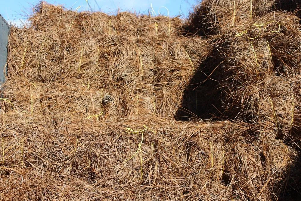 Local landscaping services in Greensboro, NC - The Mulch Yard