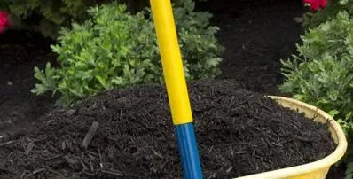 Top-rated landscape installation experts serving Greensboro, NC - The Mulch Yard