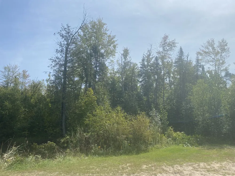 Local lawn care service experts serving West Branch, MI - The Mullet Express