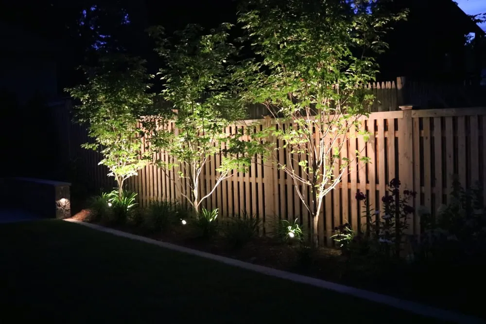 Professional landscaping services in Newton, MA by The Narrow Lane