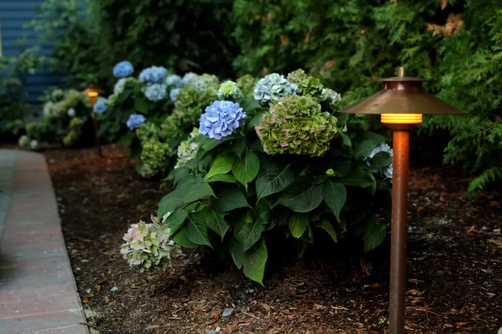 Top-rated residential landscaping in Newton, MA by The Narrow Lane