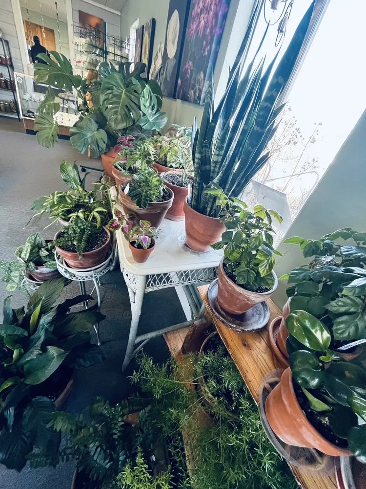 Top-rated residential landscaping for homes across Prescott, AZ - The Native Garden