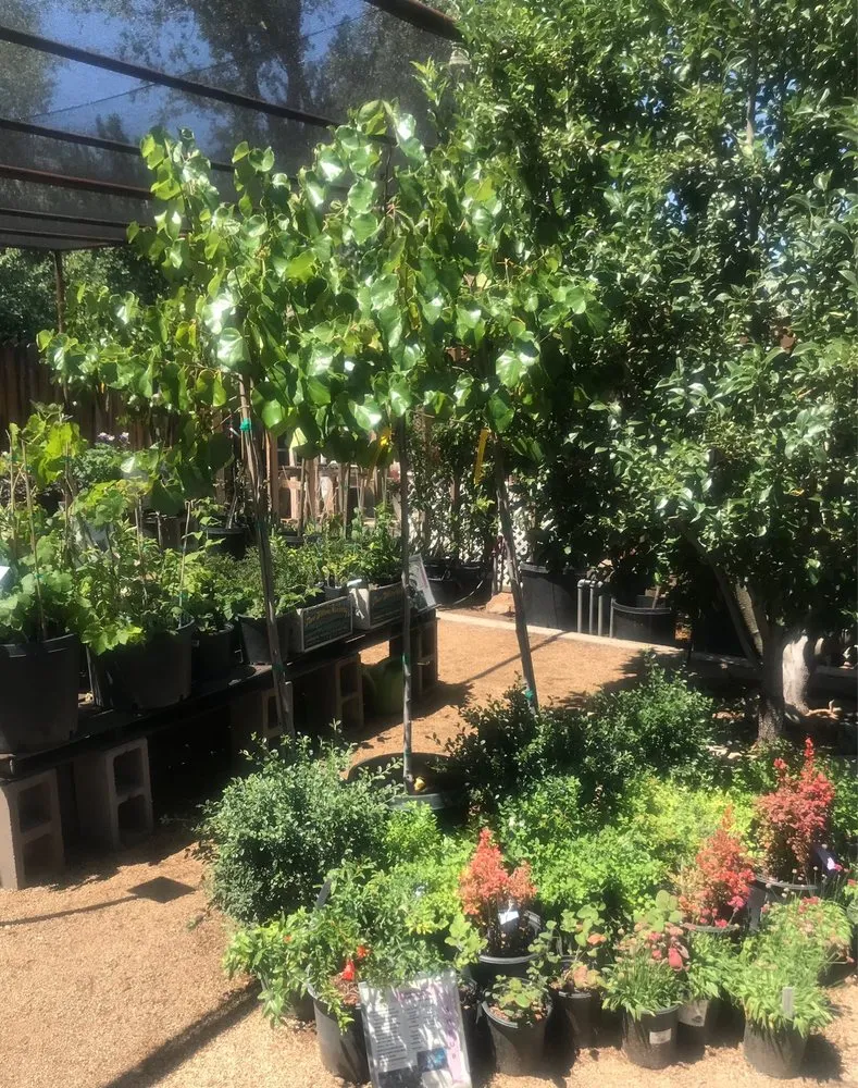 Expert landscaping services near you across Prescott, AZ - The Native Garden