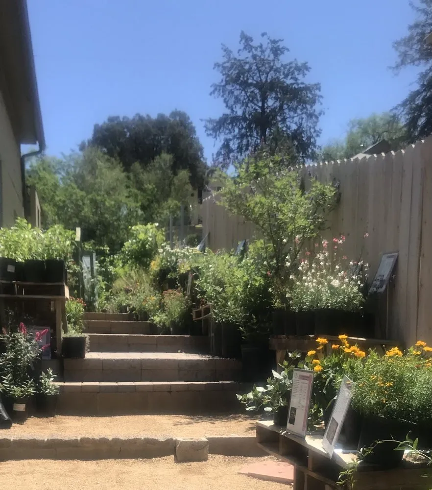 Professional landscape design experts serving Prescott, AZ - The Native Garden