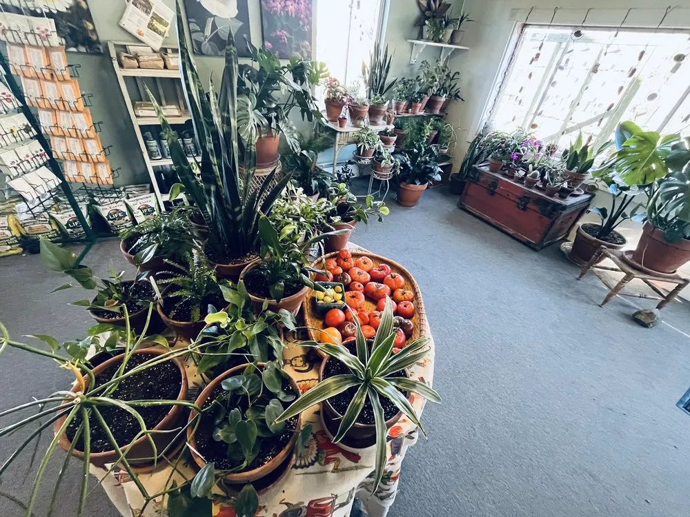 Trusted landscaping services for outdoor upgrades in Prescott, AZ by The Native Garden