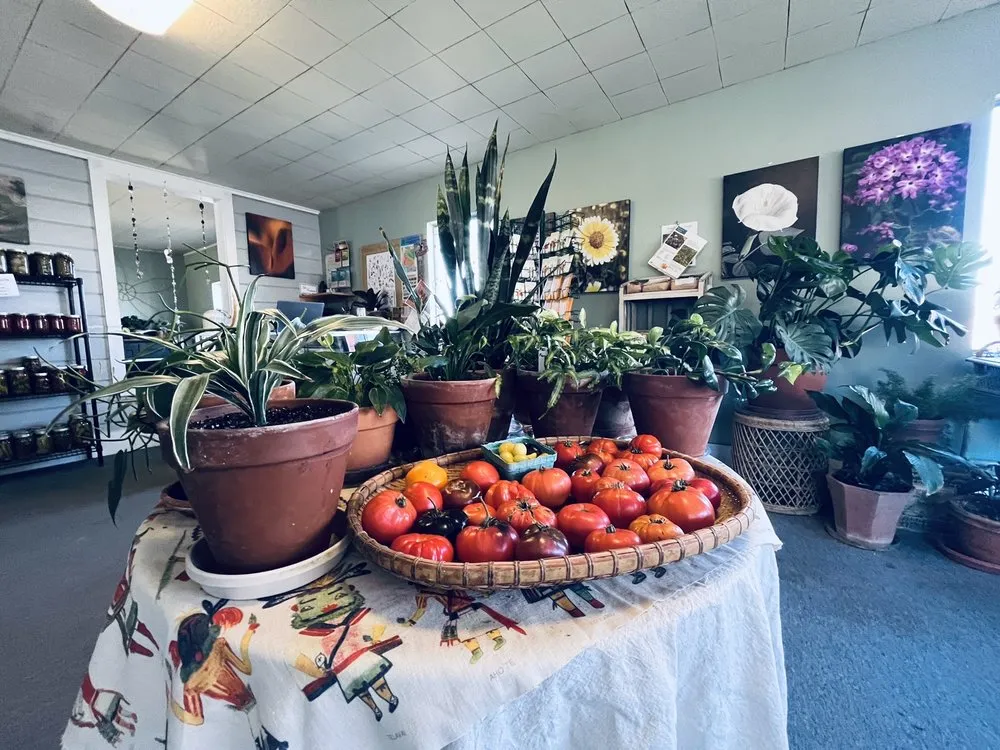 Custom landscape installation experts serving Prescott, AZ - The Native Garden