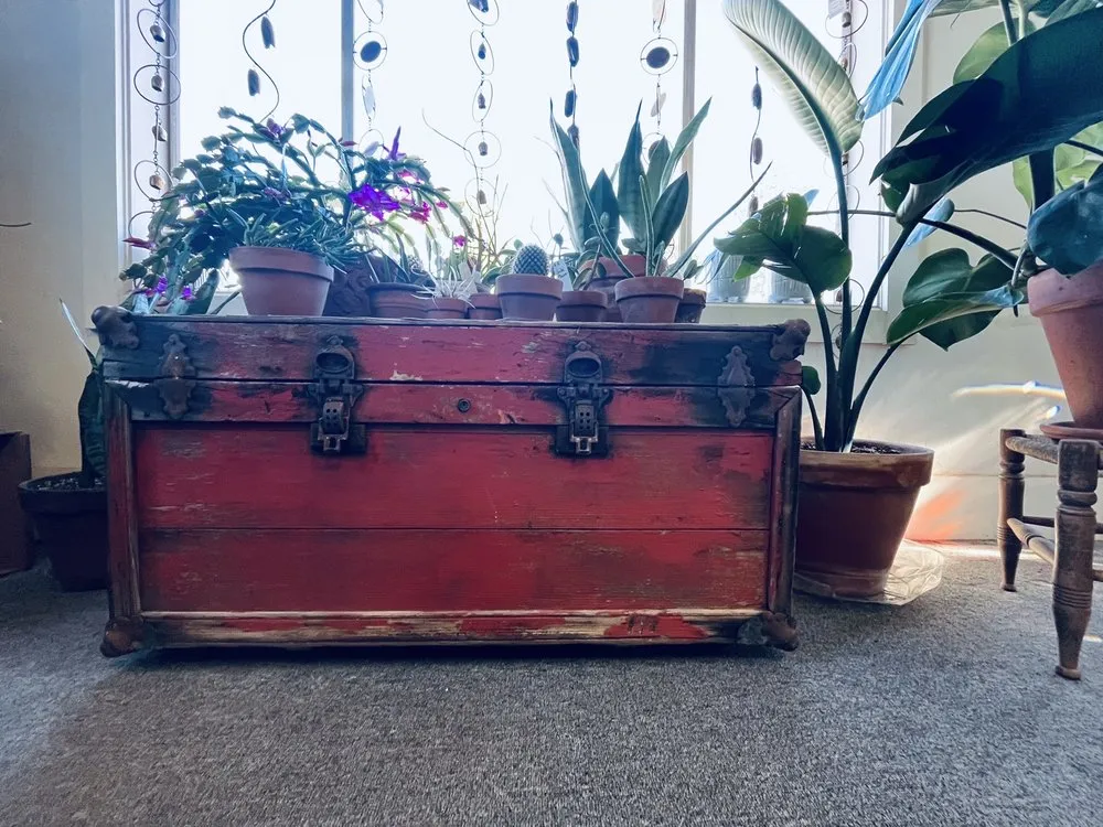 Affordable landscape installation for year-round maintenance across Prescott, AZ - The Native Garden