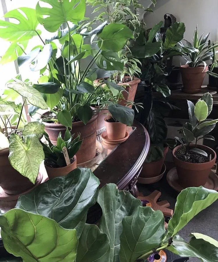 Affordable garden landscaping experts serving Prescott, AZ - The Native Garden