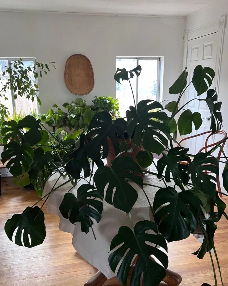 Custom yard maintenance in Prescott, AZ by The Native Garden