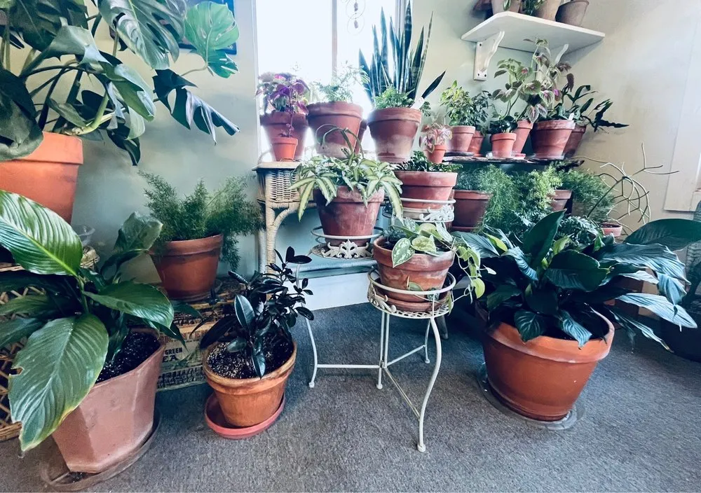 Reliable yard maintenance experts serving Prescott, AZ - The Native Garden