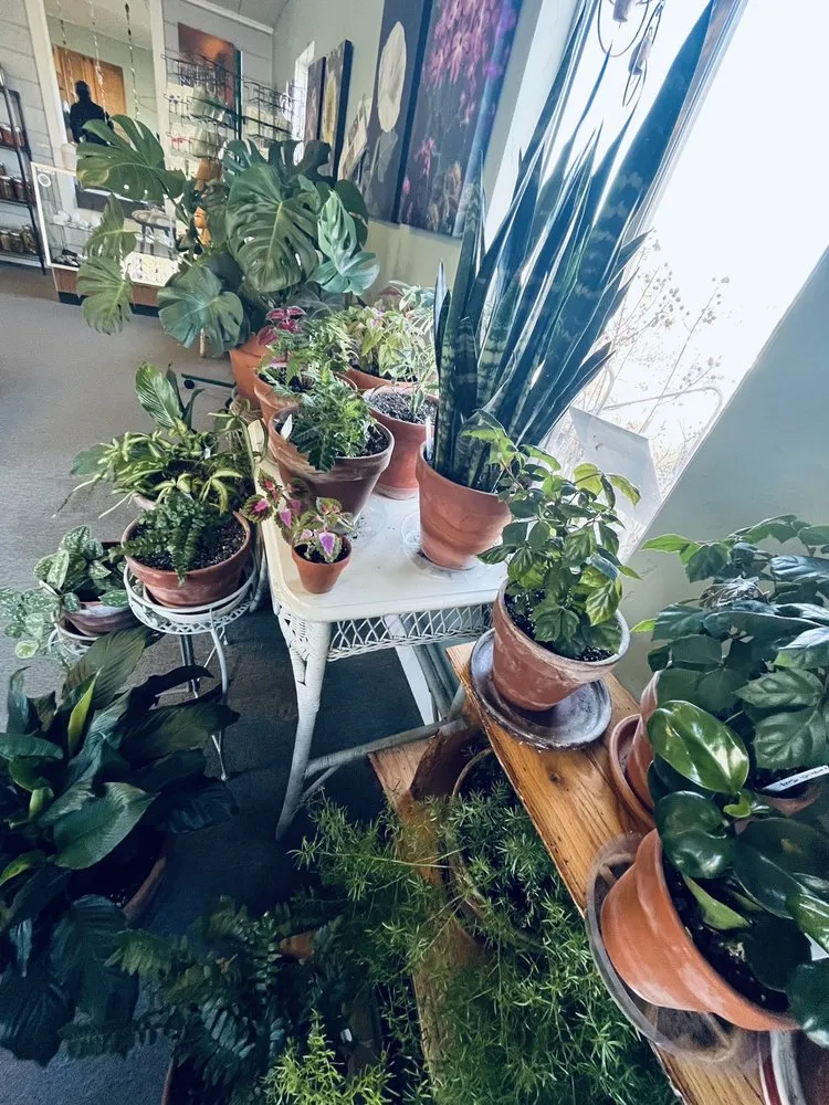 Professional landscape design for homes across Prescott, AZ - The Native Garden