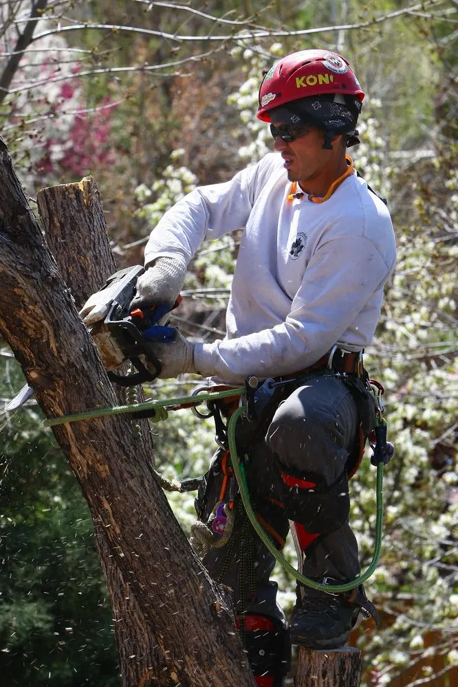Professional outdoor landscaping for outdoor upgrades in Englewood, CO by The Natural Way