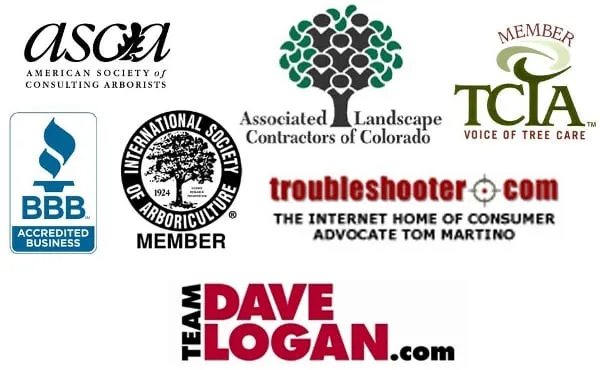 Reliable lawn care service in Englewood, CO by The Natural Way