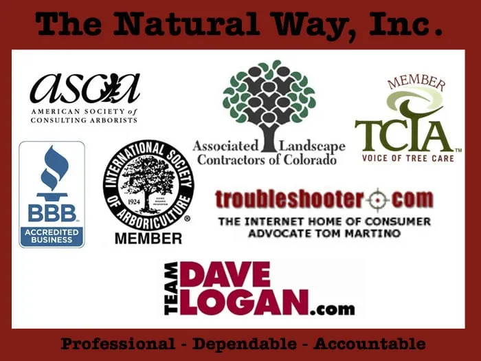 Affordable lawn mowing service in Englewood, CO by The Natural Way