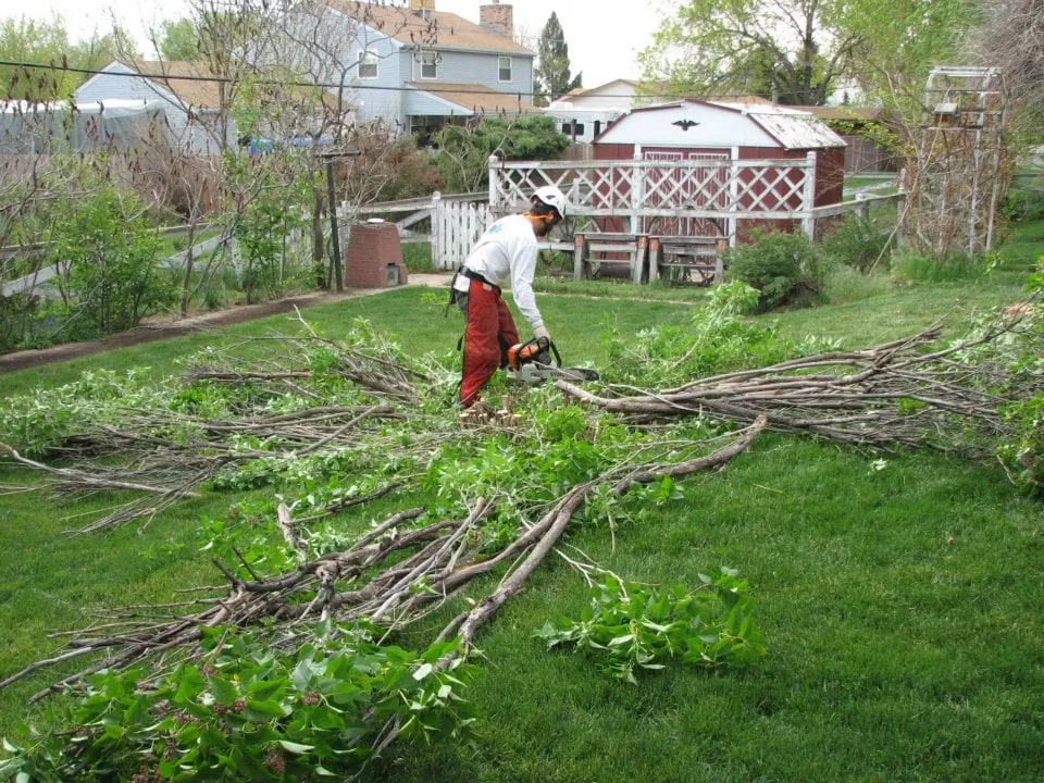Affordable landscaping services near you in Englewood, CO by The Natural Way
