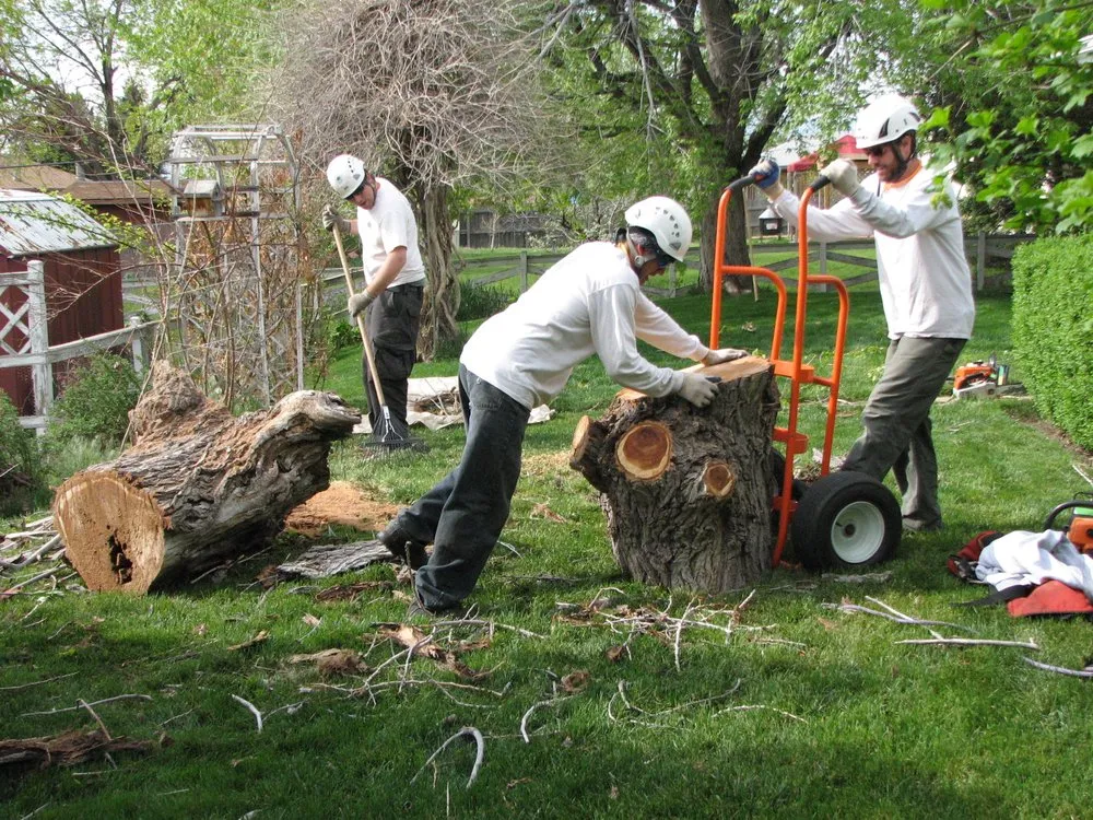 Top-rated garden landscaping experts serving Englewood, CO - The Natural Way