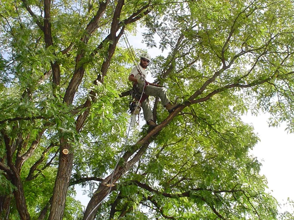 Custom lawn mowing service for outdoor upgrades in Englewood, CO by The Natural Way