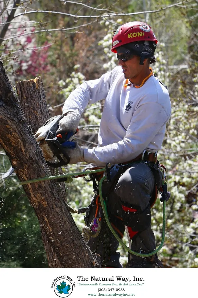 Reliable landscaping services experts serving Englewood, CO - The Natural Way