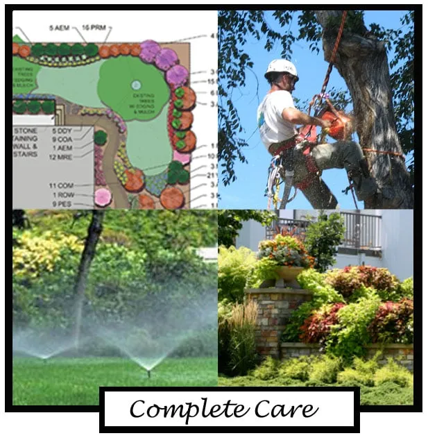 Top-rated landscaping services for year-round maintenance in Englewood, CO by The Natural Way