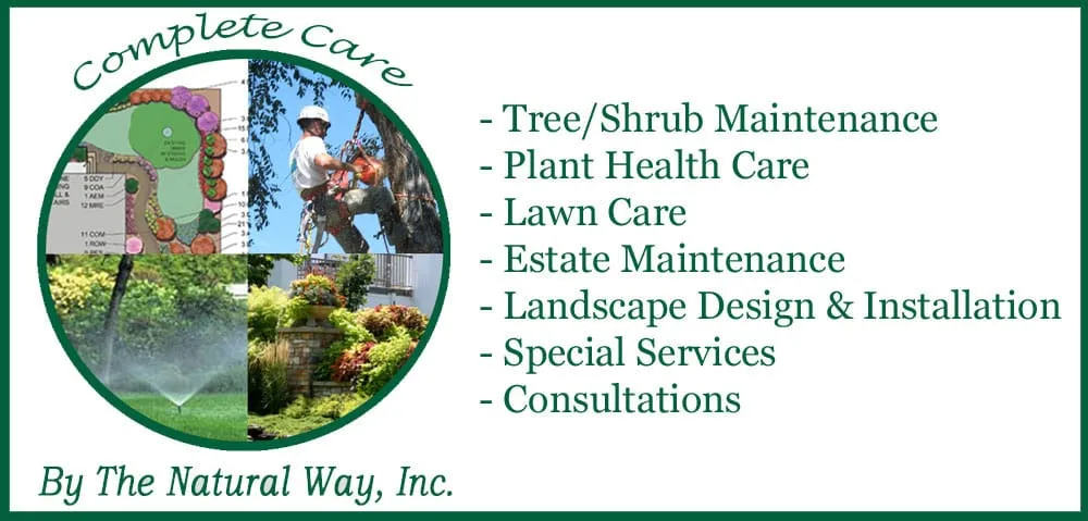 Reliable yard cleanup service in Englewood, CO - The Natural Way