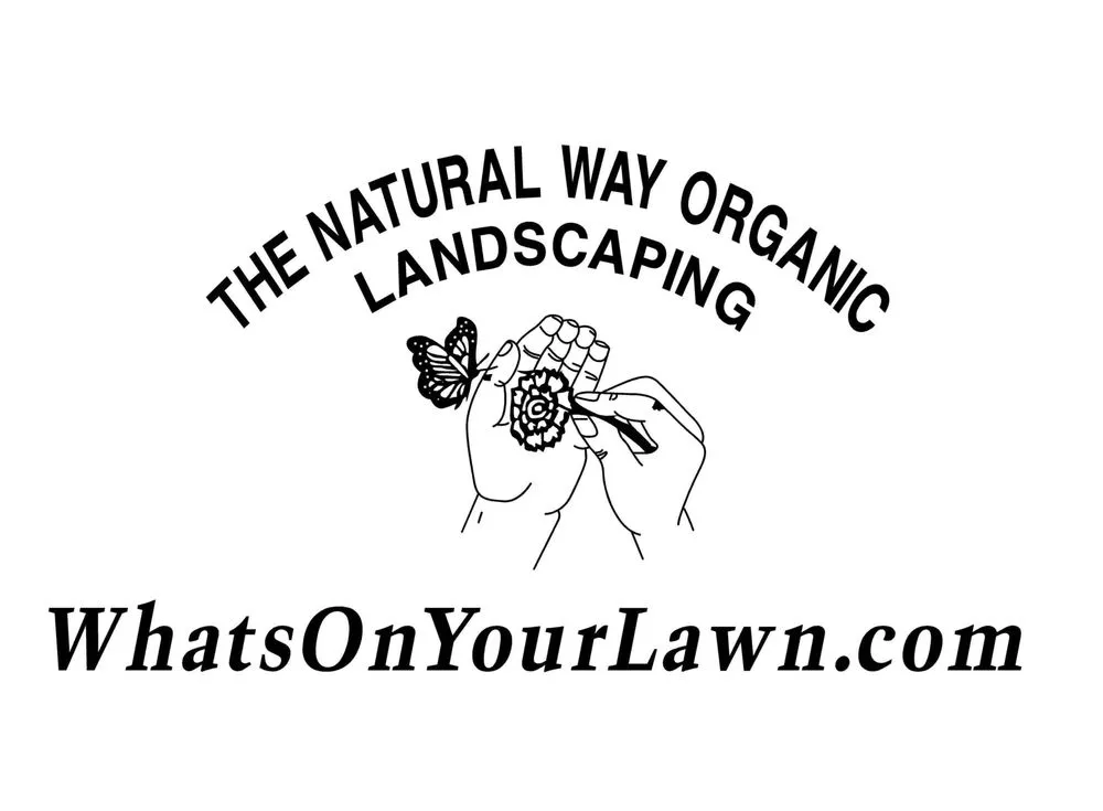 Reliable garden landscaping in Islip Terrace, NY - The Natural Way Organic Landscaping