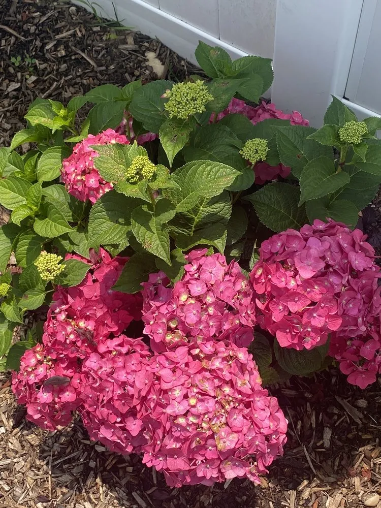 Top-rated outdoor landscaping for year-round maintenance across Islip Terrace, NY - The Natural Way Organic Landscaping