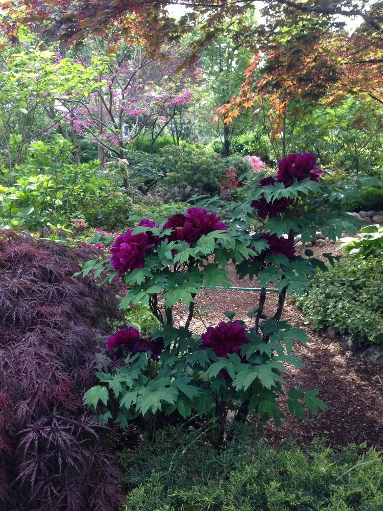 Professional lawn care service in Islip Terrace, NY by The Natural Way Organic Landscaping