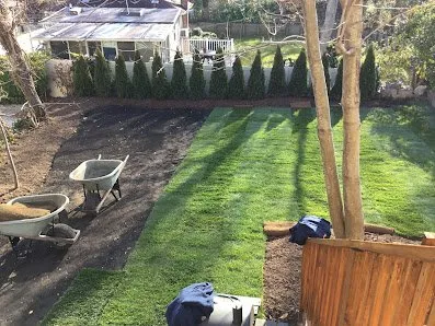 Affordable lawn mowing service in Islip Terrace, NY by The Natural Way Organic Landscaping