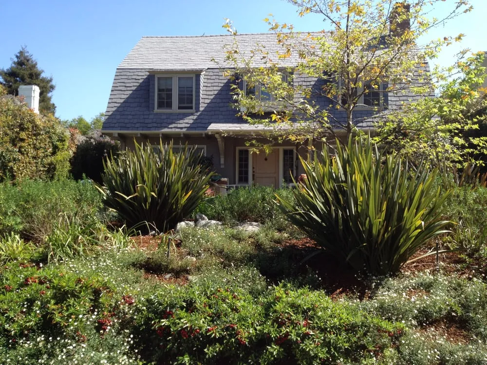 Local lawn care service for beautiful yards across Los Angeles, CA - The Nature of Things