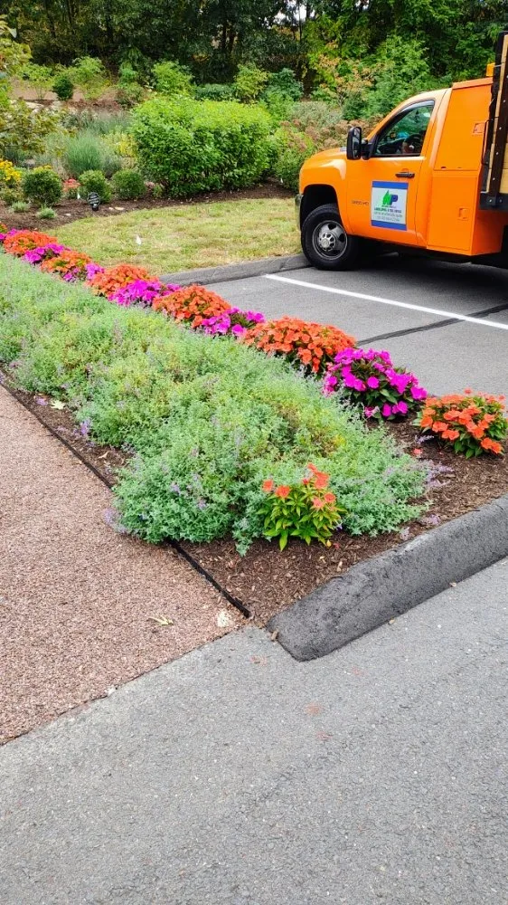 Local lawn mowing service for outdoor upgrades in Manchester, CT by The Nature Professionals