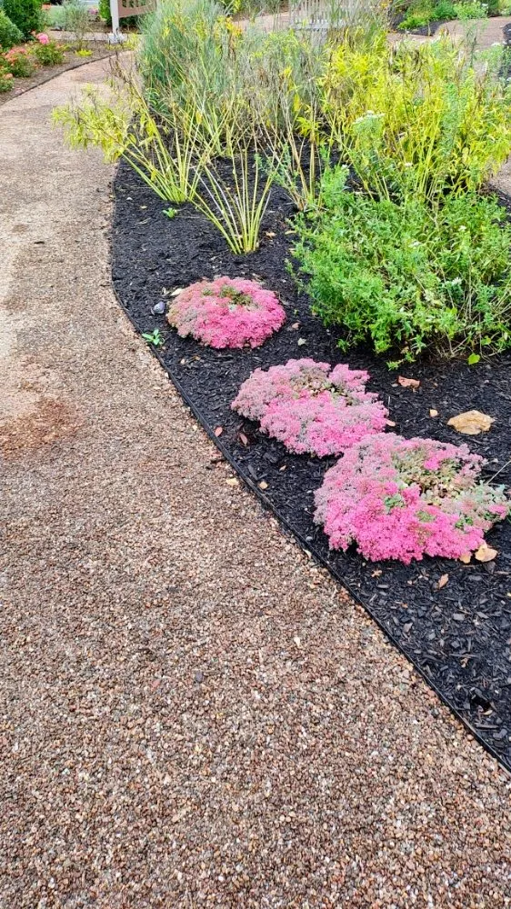 Top-rated landscape installation for residential properties in Manchester, CT by The Nature Professionals