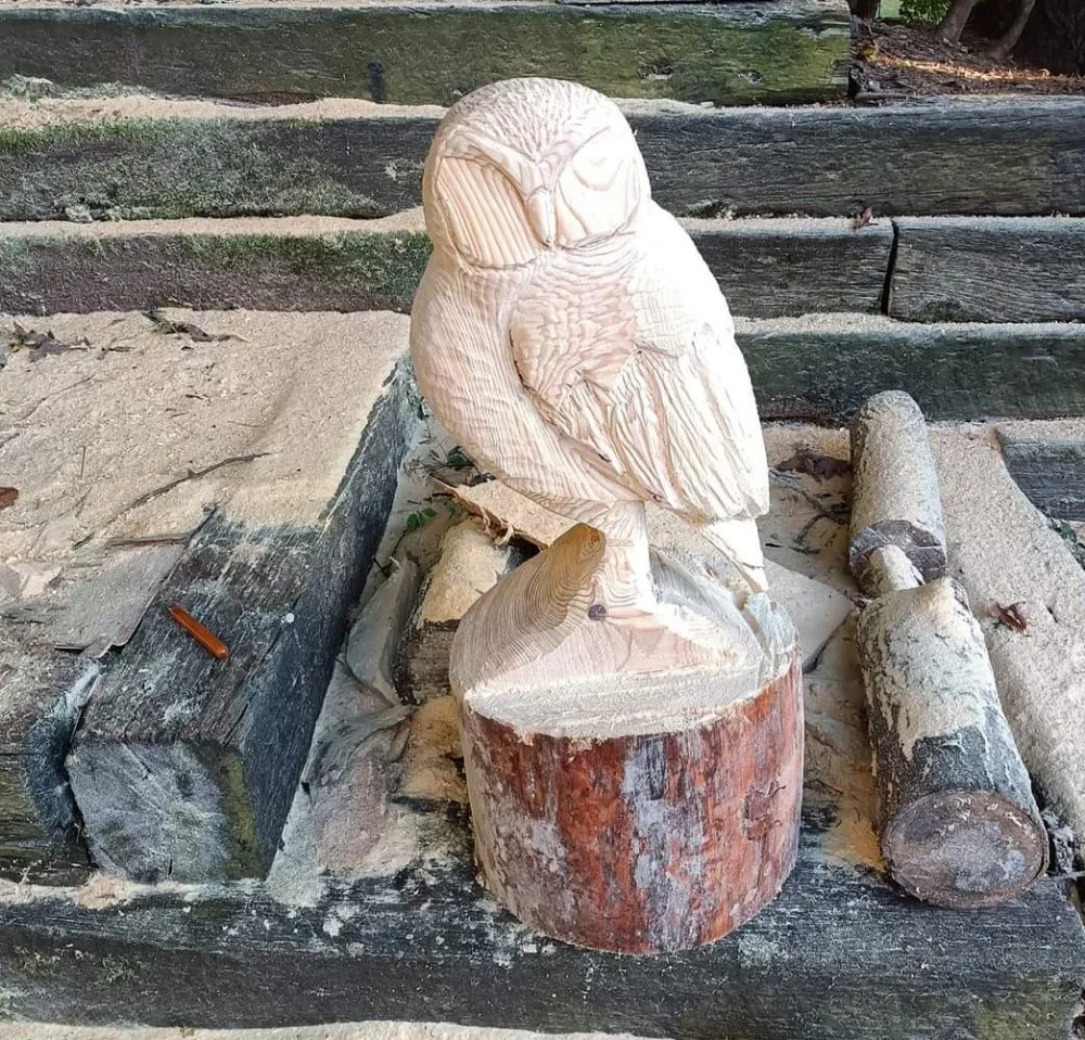 Local outdoor landscaping experts serving Manchester, CT - The Nature Professionals