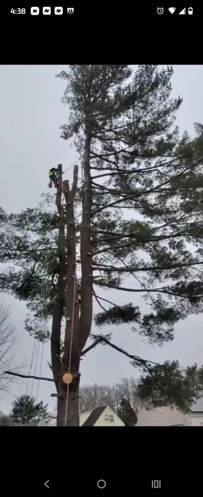 Professional landscape design in Manchester, CT by The Nature Professionals