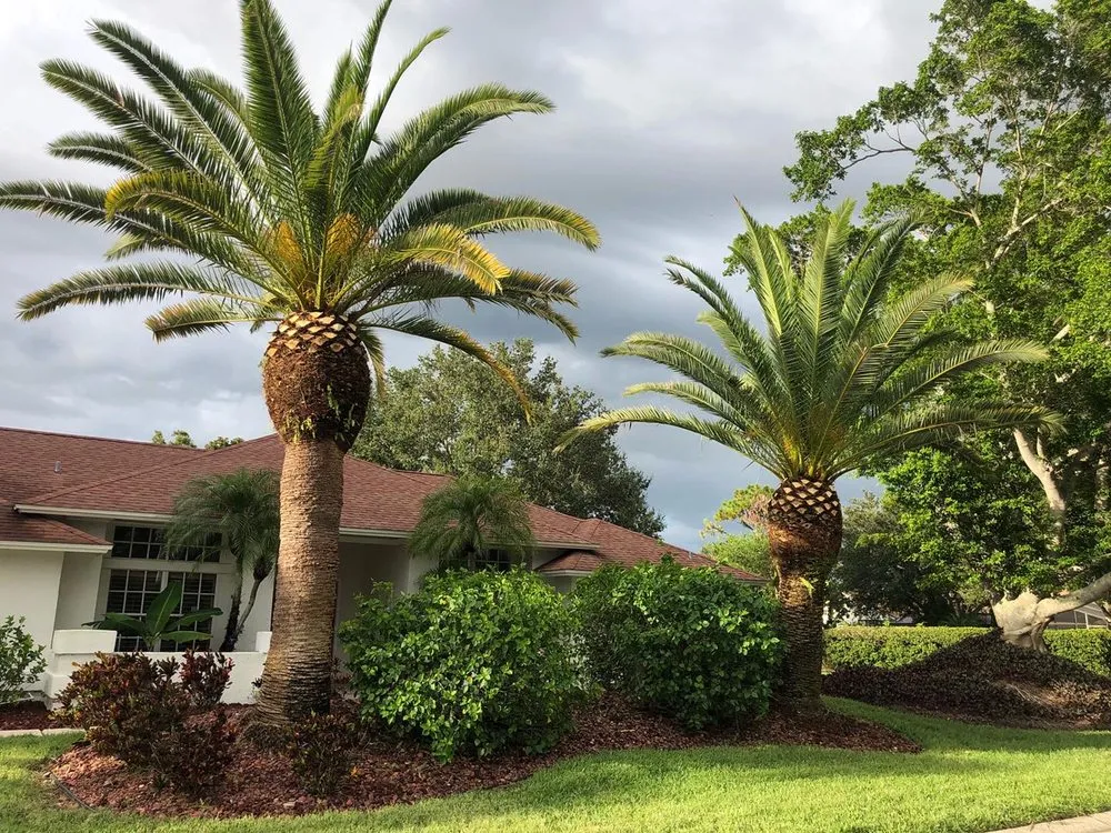 Professional lawn mowing service for homes across Bradenton, FL - The Neighborhood Buzz