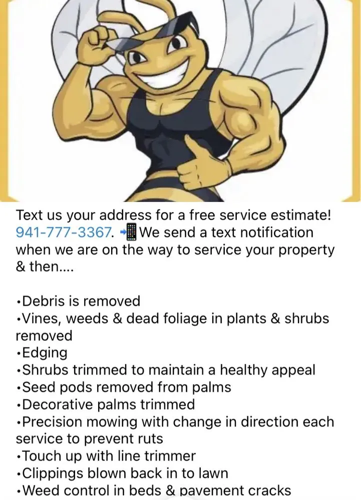 Top-rated outdoor landscaping in Bradenton, FL by The Neighborhood Buzz