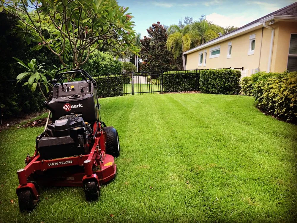 Top-rated outdoor landscaping for outdoor upgrades in Bradenton, FL by The Neighborhood Buzz