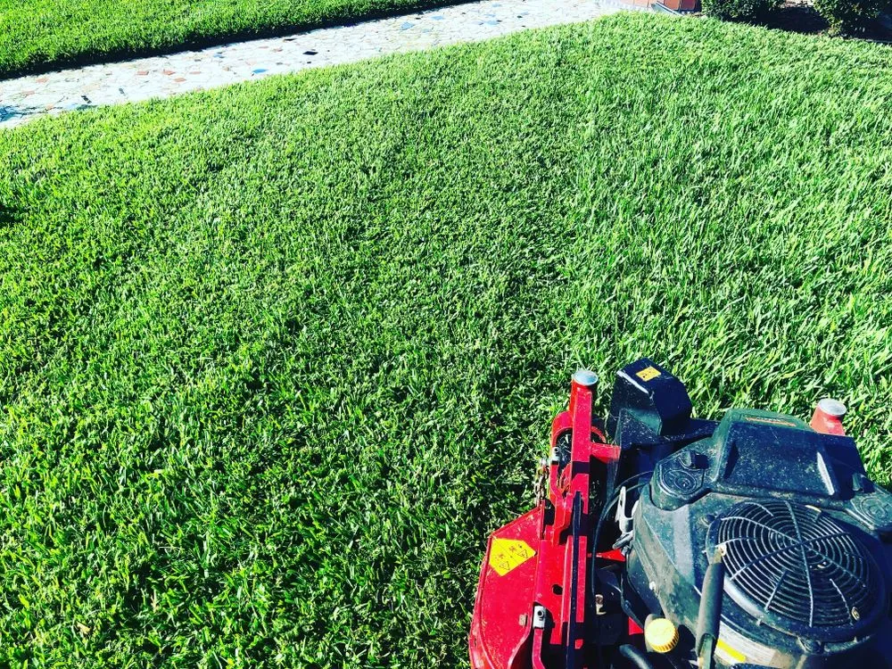 Expert residential landscaping in Bradenton, FL - The Neighborhood Buzz