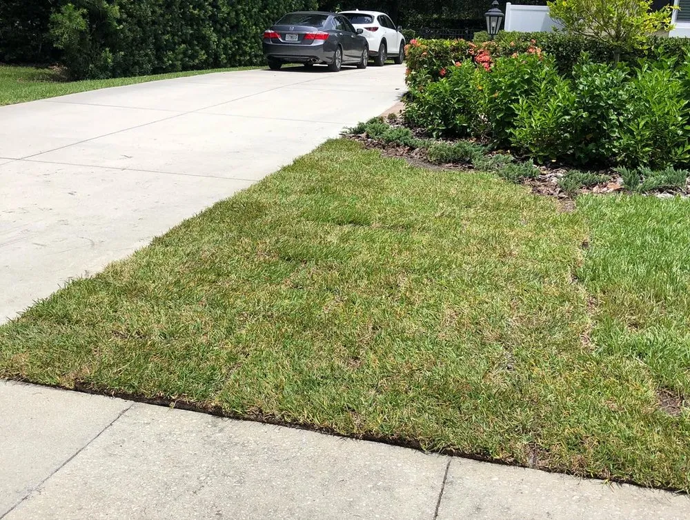 Local outdoor landscaping in Bradenton, FL by The Neighborhood Buzz