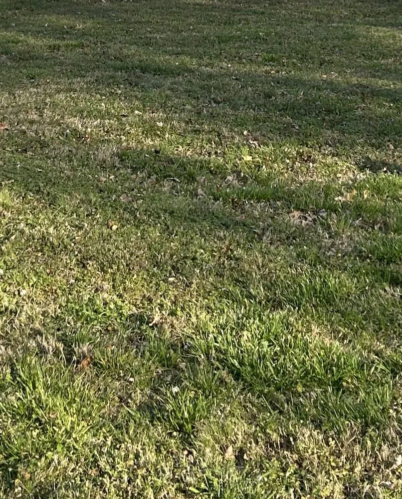 Professional landscaping services in Carterville, IL by The neighborhood kids lawn care