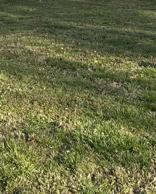 The neighborhood kids lawn care Logo