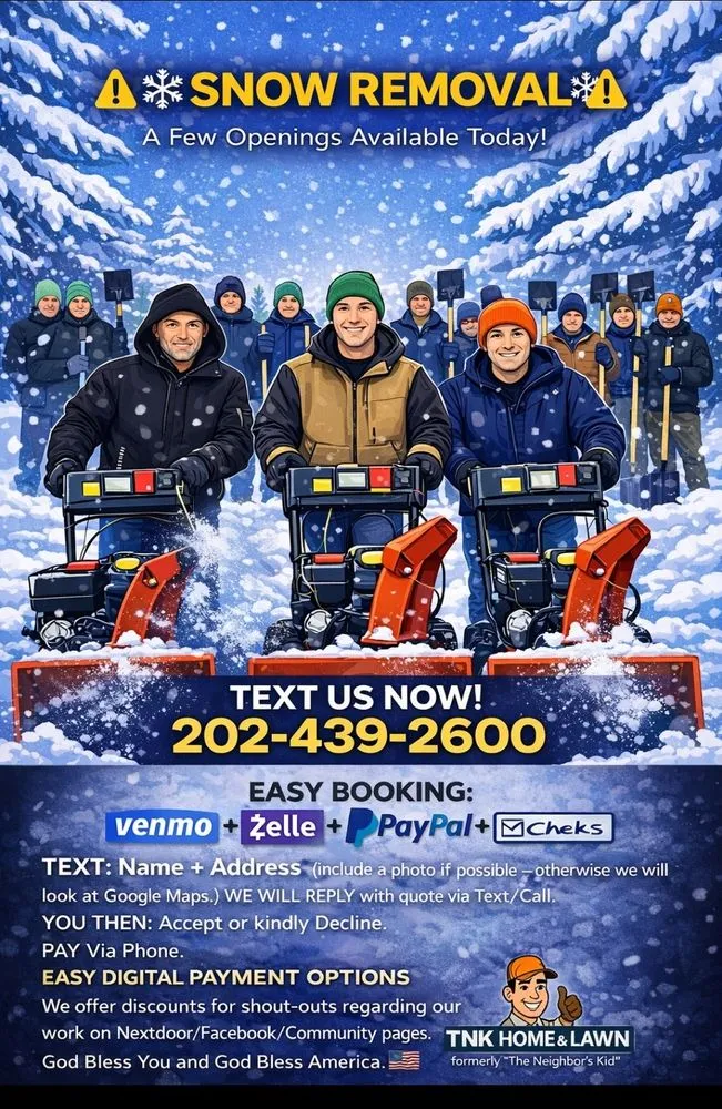 Trusted landscaping services in Kitty Hawk, NC by The Neighbor's Kid Home & Lawn