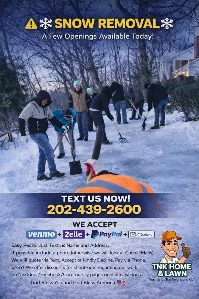 Top-rated yard maintenance in Kitty Hawk, NC by The Neighbor's Kid Home & Lawn