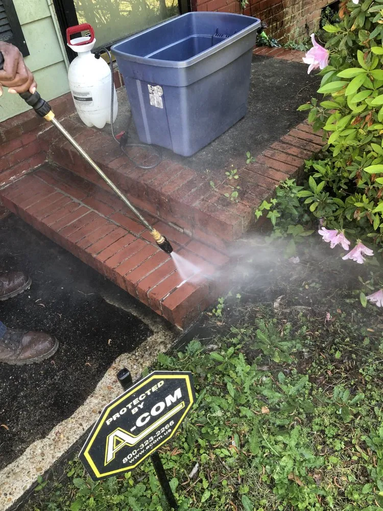 Top-rated lawn mowing service with custom design across Columbus, GA - The Neighbors Pressure Washing And Lawn Cutting