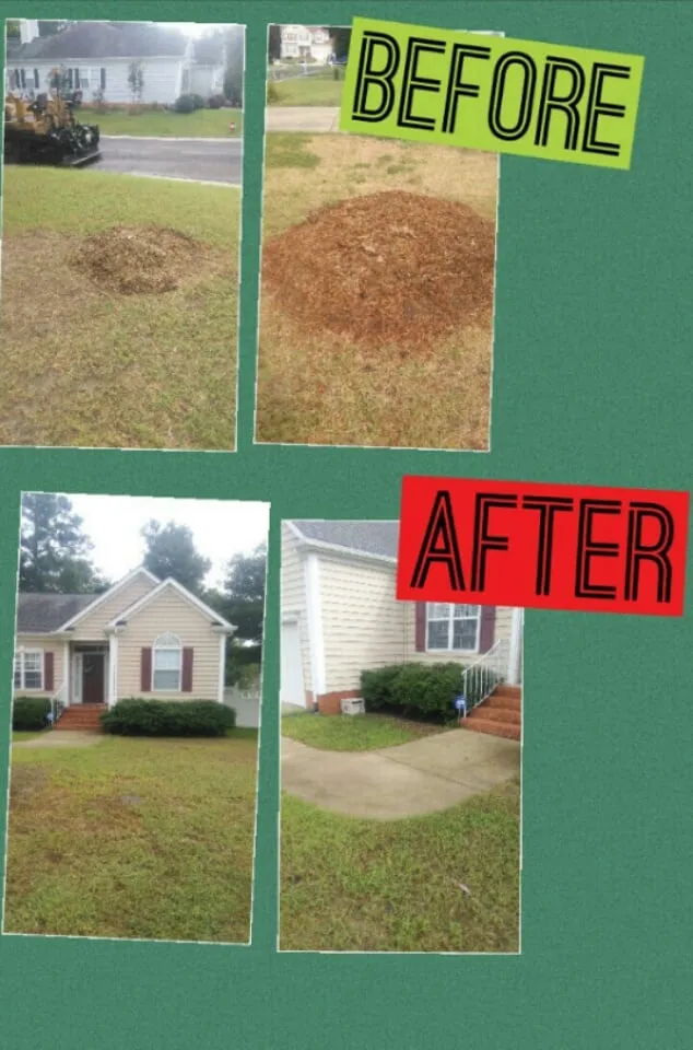Trusted outdoor landscaping in Williamsburg, VA - The New Beginning Lawn Care
