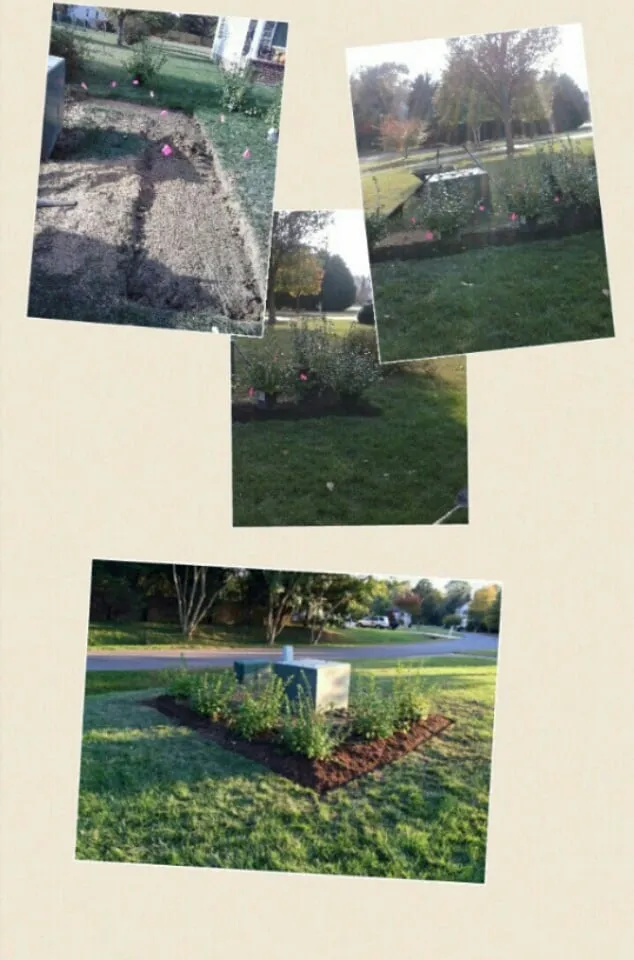 Expert landscape installation for year-round maintenance in Williamsburg, VA by The New Beginning Lawn Care