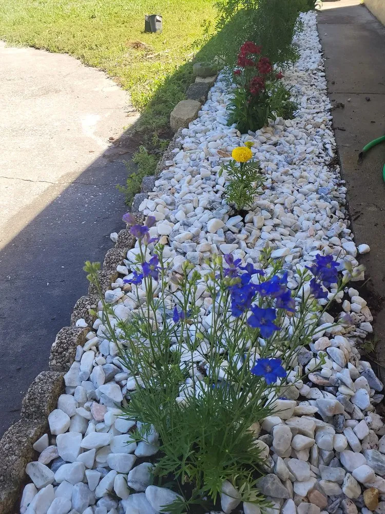 Professional outdoor landscaping experts serving Spring Hill, FL - The New Era Landscaping