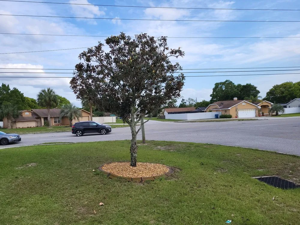 Expert yard cleanup service in Spring Hill, FL - The New Era Landscaping